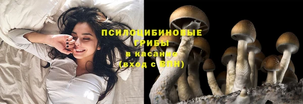 соль ск Абдулино