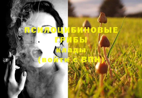 а пвп мука Алзамай