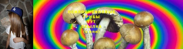 круглые Абаза